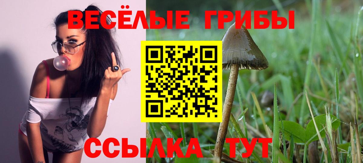 Галлюциногенные грибы ЛСД Сосновый Бор