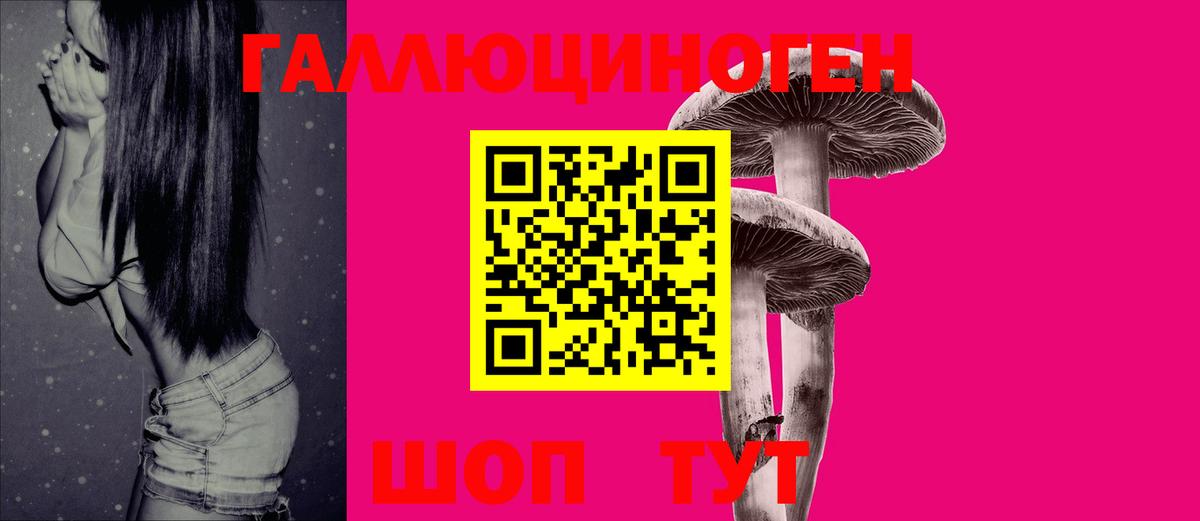 Галлюциногенные грибы мицелий  цены наркотик  Псилоцибиновые грибы мицелий  Сосновый Бор  Вход с VPN 